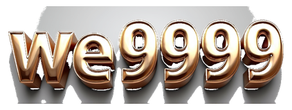 we9999 logo